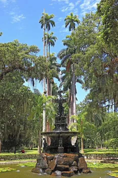 Framed Print : In the Botanical Garden of Rio de Janeiro