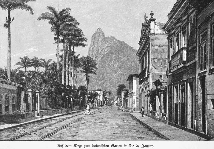 Framed Print : Botanical garden, tropics, street Framed Print : Botanical garden, tropics, street