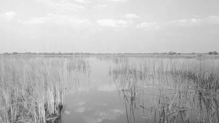 Framed Print : Botswana: A boat trip through the flooded Okavango Delta in the Kalahari Framed Print : Botswana: A boat trip through the flooded Okavango Delta in the Kalahari