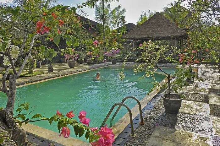 Framed Print : Bougainvillea (Bougainvillae), swimmer in the pool of the Ubud-Inn, Ubud, Bali, Indonesia, Asia