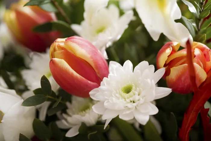 Framed Print : Bouquet of fresh flowers Framed Print : Bouquet of fresh flowers