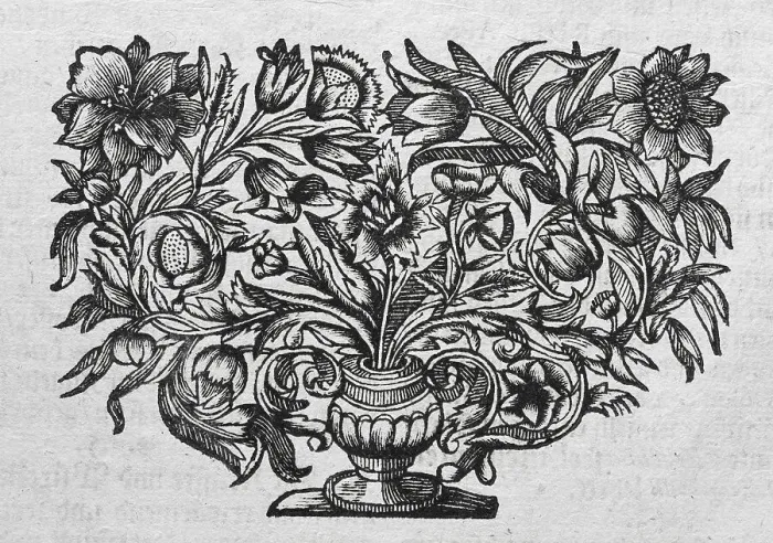 Framed Print : Bouquet in Vase, copperplate engraving from Museum Museorum Framed Print : Bouquet in Vase, copperplate engraving from Museum Museorum