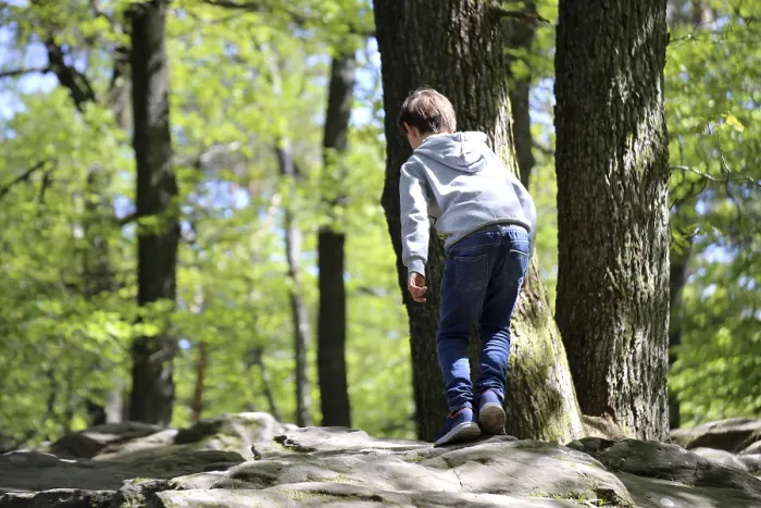 Framed Print : Boy climbing on the sea of rocks below the Kalmit in the Palatinate Forest