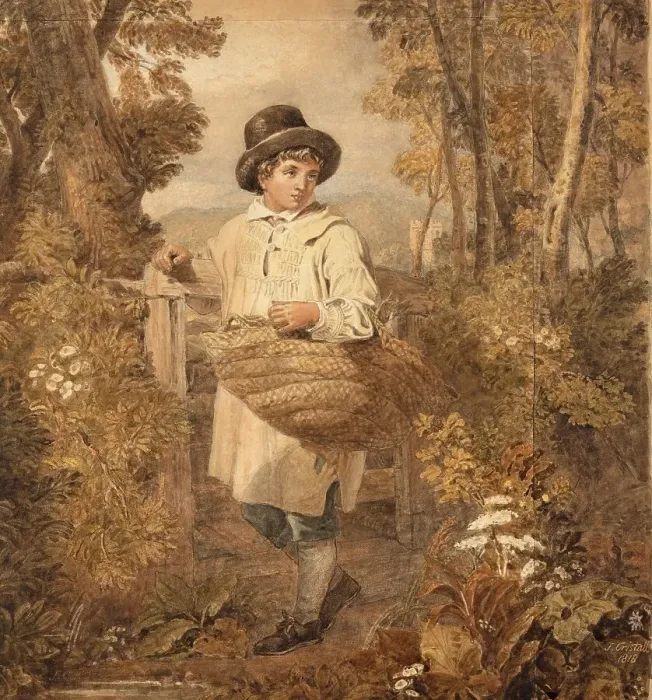 Framed Print : Boy Gathering Firewood in the Forest