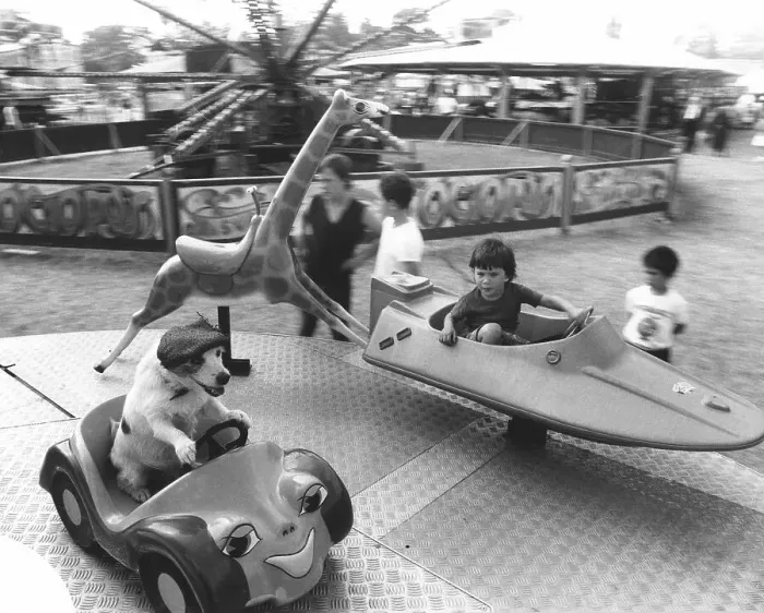 Framed Print : Boy and Jack Russell ride a carousel