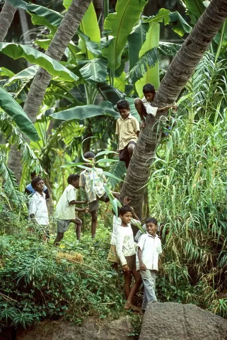 Framed Print : Boys enjoying their holidays standing near a river at Courtalam Kutralam Kuttalam Framed Print : Boys enjoying their holidays standing near a river at Courtalam Kutralam Kuttalam
