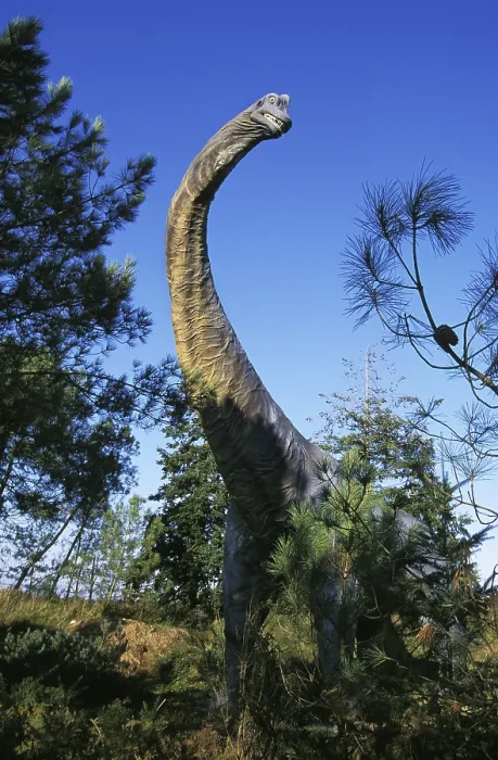 Framed Print : Brachiosaurus, giant sauropod herbivore dinosaur during the Jurassic Period
