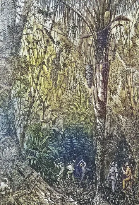 Framed Print : The Breakthrough of the Road to Nicaragua into the Miskito Reserve