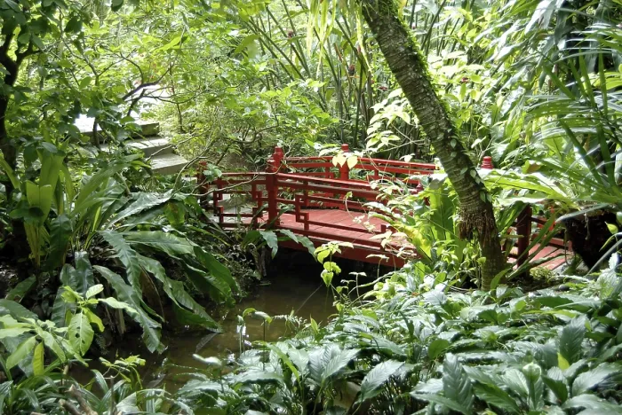 Framed Print : Bridge at Butterfly world, Sentosa, Singapore