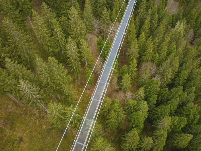 Framed Print : Bridge filmed from a height over a coniferous forest with dense treetops