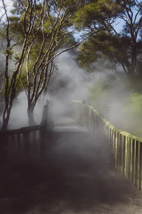 Framed Print : A bridge over a sulphur spring at a lake in Rotorua Framed Print : A bridge over a sulphur spring at a lake in Rotorua
