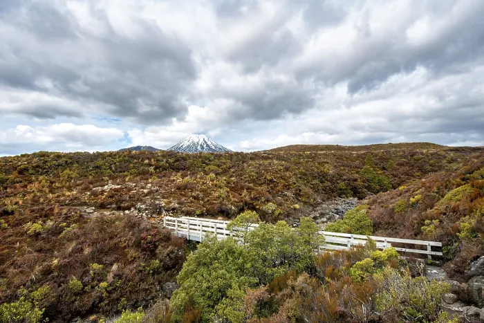 Framed Print : Bridge at Tongariro Northern Circuit