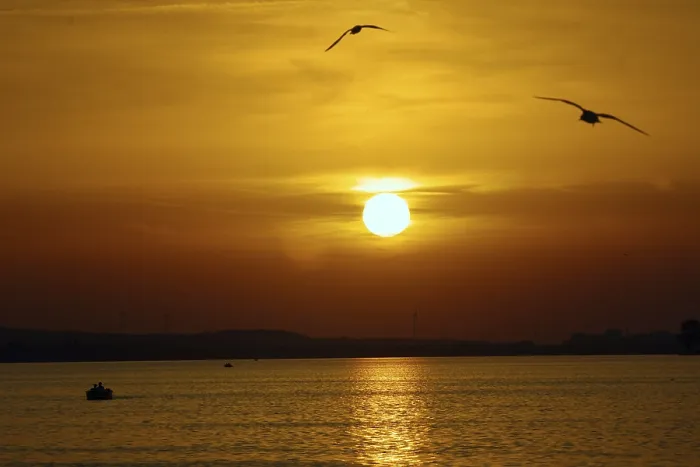 Framed Print : The bright orange sunset over the Steinhuder Meer is accompanied by flying birds that radiate tranquillity Framed Print : The bright orange sunset over the Steinhuder Meer is accompanied by flying birds that radiate tranquillity
