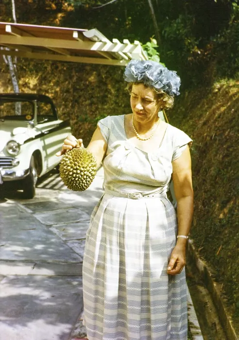 Framed Print : British expatriate woman holding a durian fruit