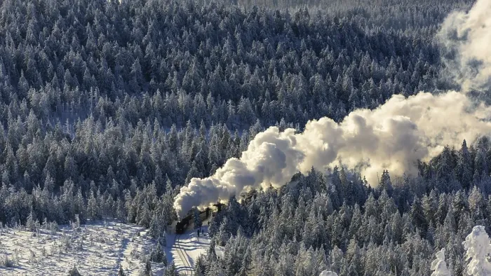 Framed Print : Brockenbahn travels through snowy Spruces (Picea) to the Brocken