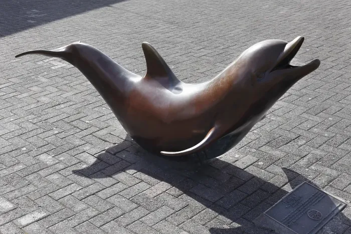 Framed Print : Bronze sculpture of dolphin Fungie 2000