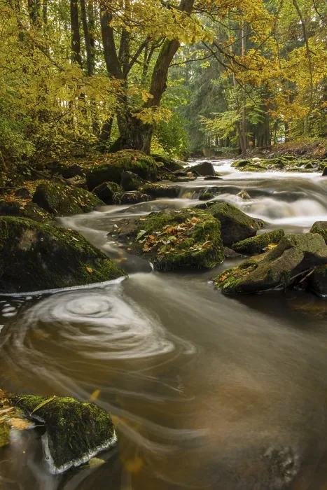 Framed Print : Brook in autumn, Blockheide-Gmuend Nature Park