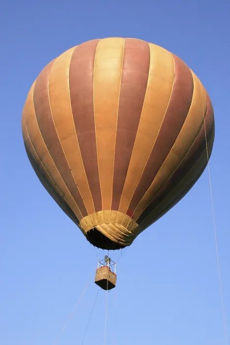 Framed Print : Brown coloured striped hot air balloon flying above sugarcane farms Framed Print : Brown coloured striped hot air balloon flying above sugarcane farms