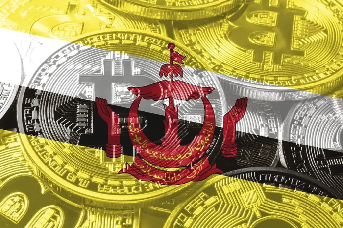 Framed Print : Brunei bitcoin flag, national flag cryptocurrency concept black background