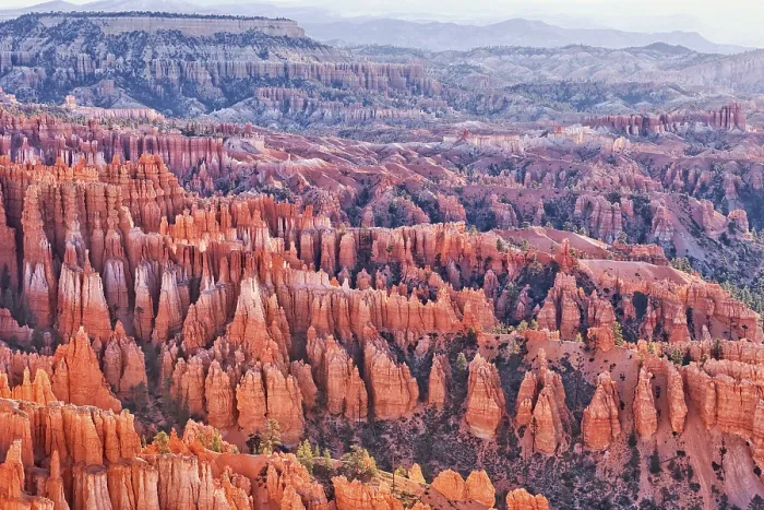 Framed Print : Bryce Canyon, Bryce Canyon National Park Framed Print : Bryce Canyon, Bryce Canyon National Park