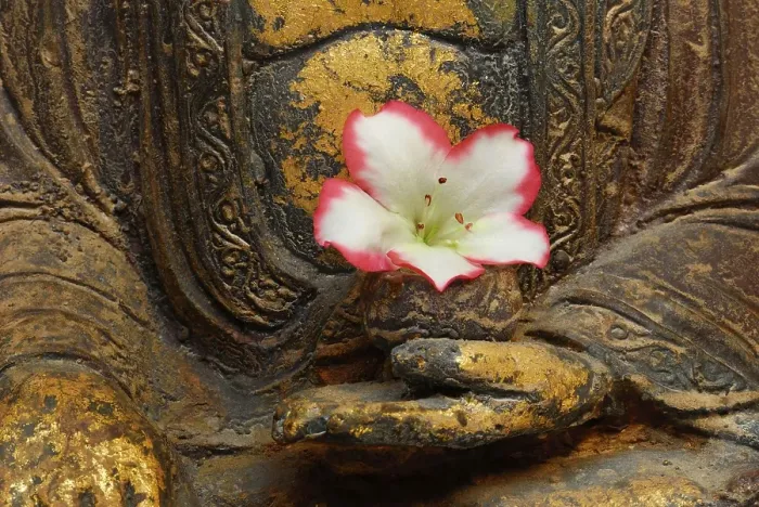 Framed Print : Buddha figure with azalea blossom Framed Print : Buddha figure with azalea blossom
