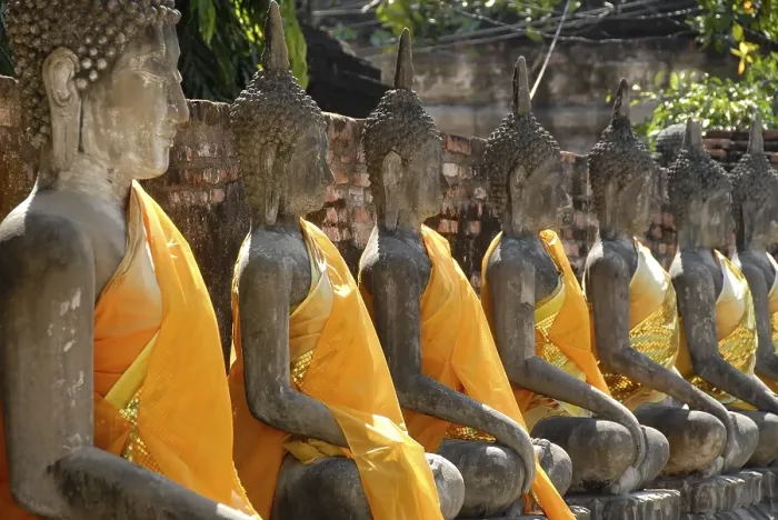 Framed Print : Many Buddha figures in a row with orange cloth Wat Yai Chai Mongkol Ayutthaya Thailand