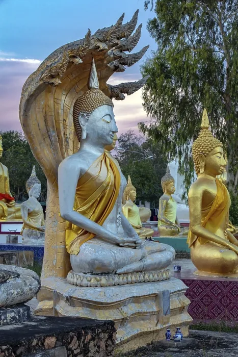Framed Print : A Buddha with Naga statues at the Buddhist Cemetery Framed Print : A Buddha with Naga statues at the Buddhist Cemetery