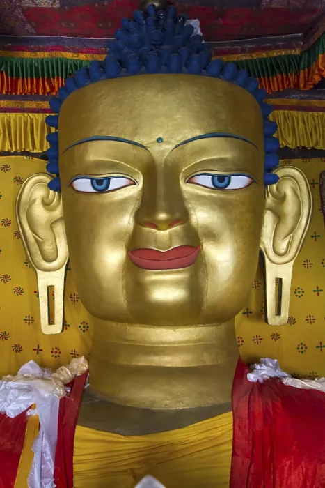 Framed Print : Buddha statue in a monastery in Ladakh