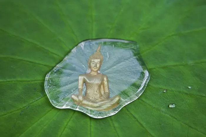 Framed Print : Buddha statue reflected in a drop of water on a lotus leaf Framed Print : Buddha statue reflected in a drop of water on a lotus leaf