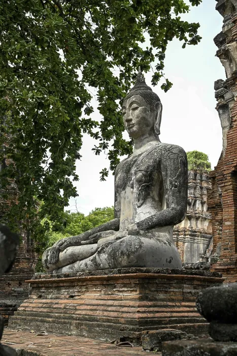 Framed Print : Buddha statue in Wat Mahathat Ayutthaya Framed Print : Buddha statue in Wat Mahathat Ayutthaya