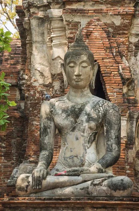 Framed Print : Buddha statue, Wat Mahathat, Ayutthaya