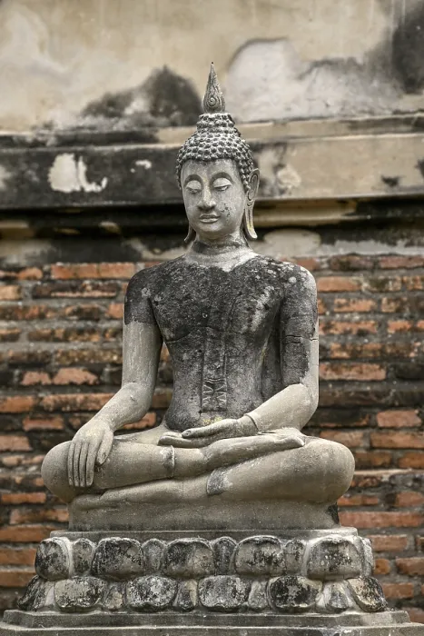 Framed Print : Buddha statue in Wat Yai Chai Mongkhon