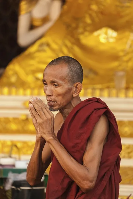 Framed Print : Buddhist monk in morning prayer at the Shwedagon Pagoda Framed Print : Buddhist monk in morning prayer at the Shwedagon Pagoda
