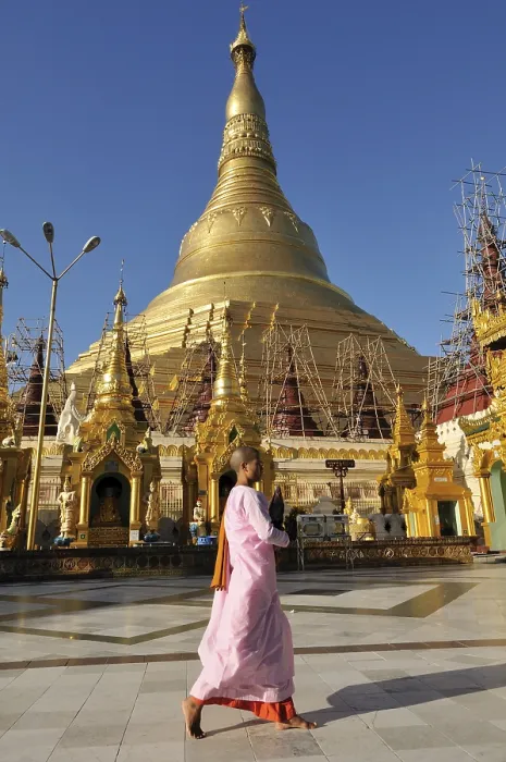 Framed Print : Buddhist nun in front of Shwedagon Pagoda Framed Print : Buddhist nun in front of Shwedagon Pagoda