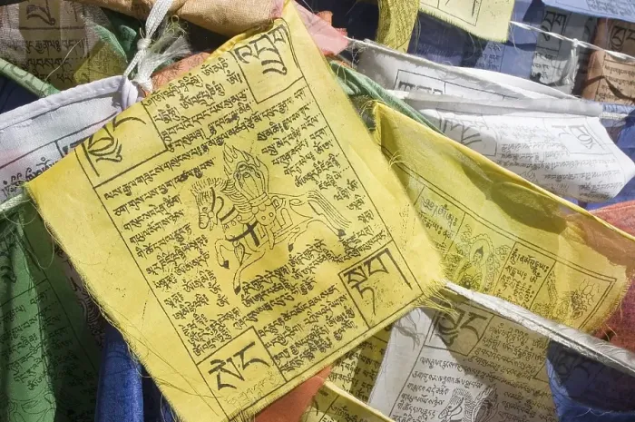 Framed Print : Buddhist prayer flags, Ladakh, Jammu and Kashmir