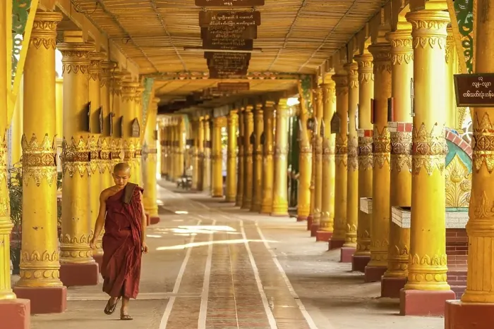 Framed Print : Buddhist student monk walking through portico