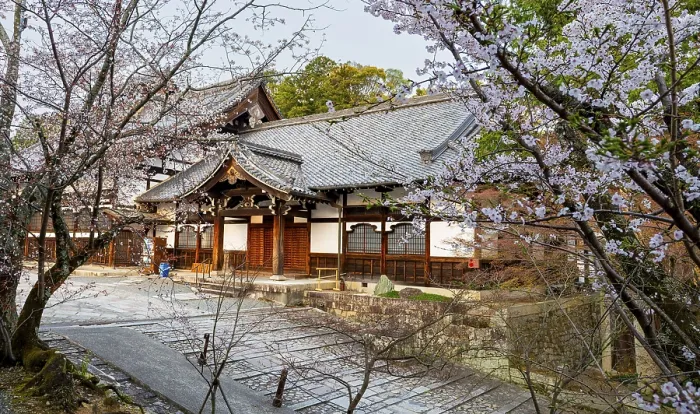 Framed Print : Buddhist temple and cherry blossom