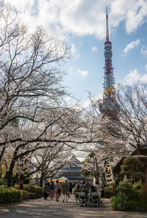 Framed Print : Buddhist temple complex Zojo-ji Temple and Tokyo Tower