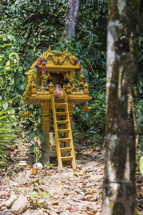 Framed Print : Buddhist temple in the rainforest Framed Print : Buddhist temple in the rainforest