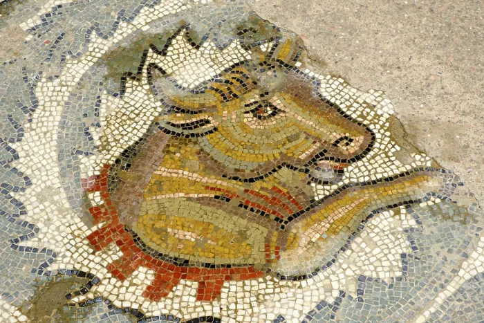 Framed Print : Bull, antique Roman floor mosaic