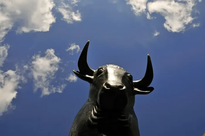 Framed Print : Bull, symbol of the stock market