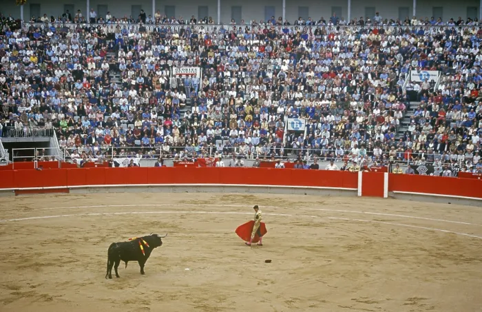 Framed Print : Bullfight, spectator, matador, capote