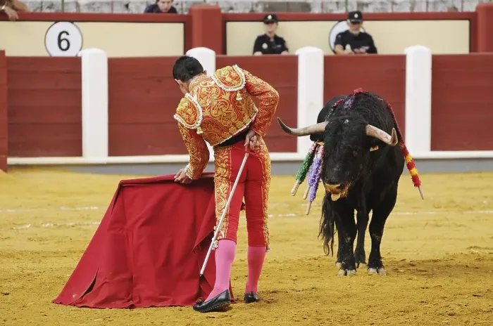 Framed Print : Bullfighting, Matador with muleta and sword