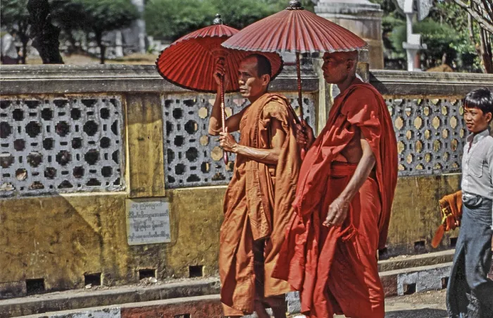Framed Print : Burmese, Burmese monks with parasols