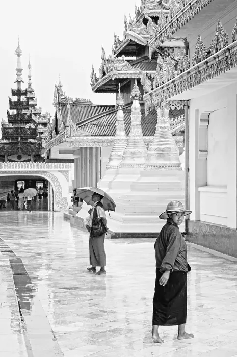 Framed Print : Burmese shwedagon paya temple in yangon myanmar