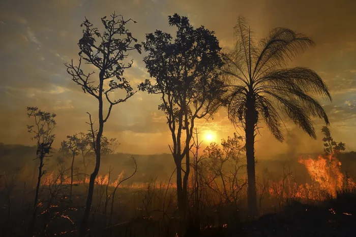 Framed Print : Burning vegetation in a bushfire at sunset