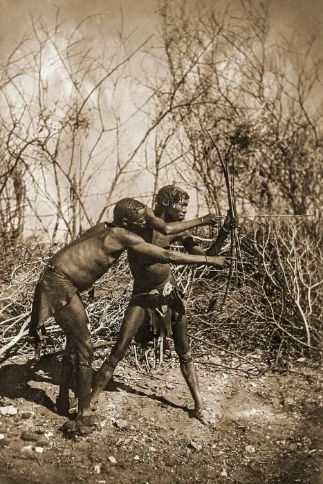 Framed Print : Two Bushmen hunting with bow and arrow Framed Print : Two Bushmen hunting with bow and arrow