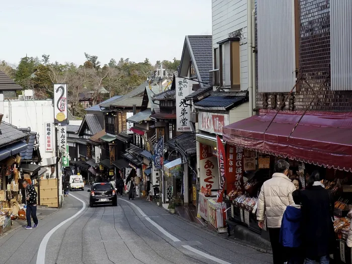 Framed Print : Busy street with traditional shops and pedestrians