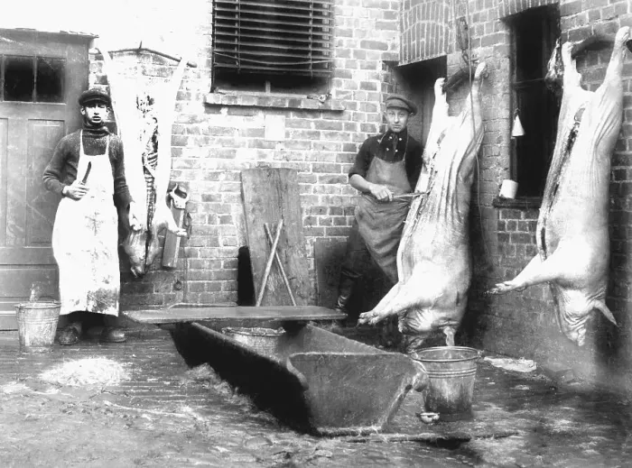 Framed Print : Butcher with three pigs, historic photgraph
