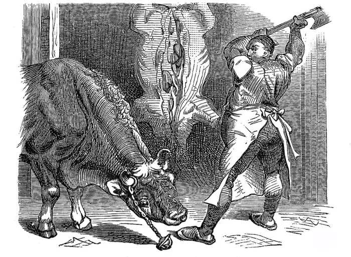Framed Print : Butcher at Work, 1880, Germany Framed Print : Butcher at Work, 1880, Germany
